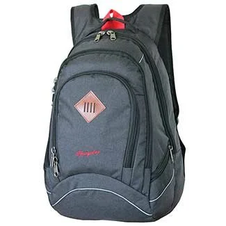 Рюкзак для ноутбука 15.6" Spayder 608 Natural Black