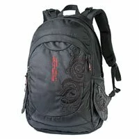 Рюкзак для ноутбука 15.6" Spayder 1604 Embro blk