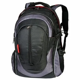 Рюкзак для ноутбука 17" Spayder 501.17 BG 